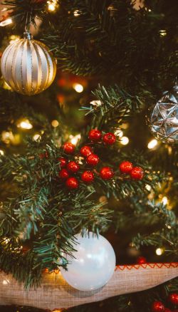 Christmas Offer